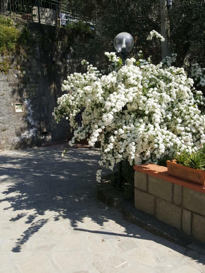 La Scaletta Casa Vacanze Massa Lubrense Εξωτερικό φωτογραφία