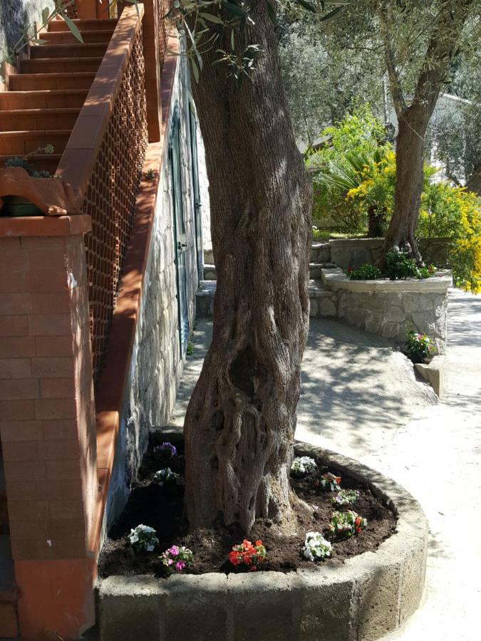 La Scaletta Casa Vacanze Massa Lubrense Εξωτερικό φωτογραφία